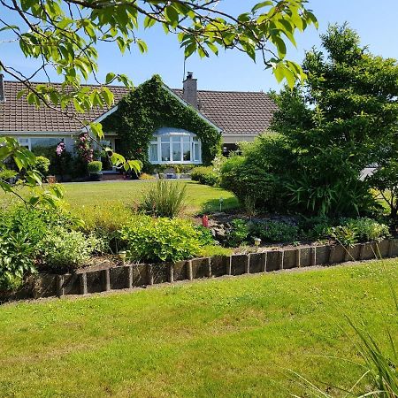 Meadow View B&B Ballymena Exterior foto